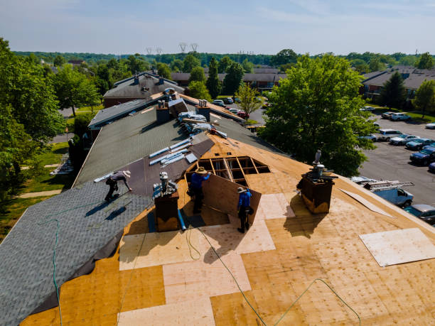 Trusted Flat Roof Repair service in Buena Vista, GA - Brentwood Metal Roofing